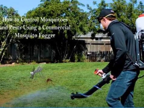 How to Control Mosquitoes and Pests Using a Commercial Mosquito Fogger