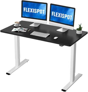 Flexispot Stand Up Desk