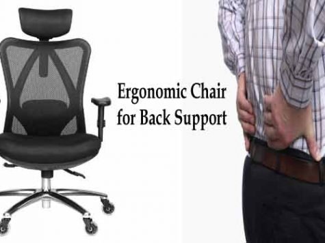 best ergonomic home office chair